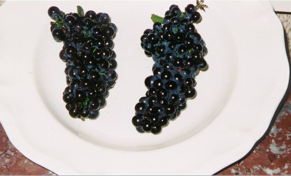grapes plate