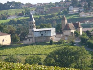 Dominique Cornin's vineyard in Chaintré
