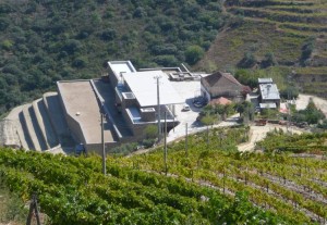 Niepoort's new winery in Quinta de Nápoles
