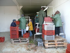 Leroy's Sorting Tables