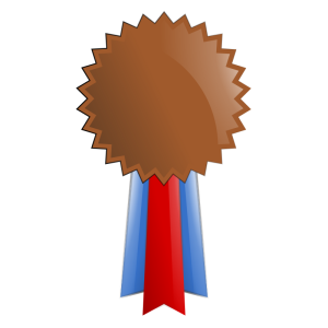 Bronze_Medal_2