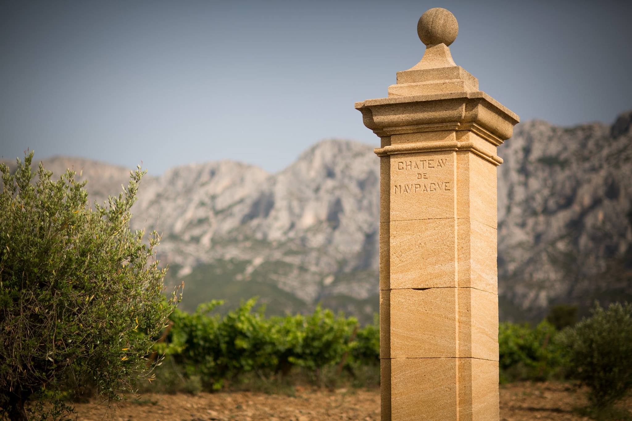 16665768_388173101545228_6473042434944639194_o Château Maupague