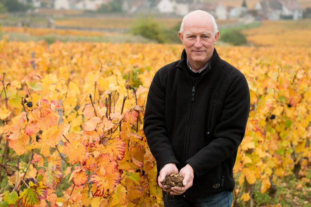 domaine_dugat_apero_wine_bar_and_table_french_cuisine_aoyama_omotesando