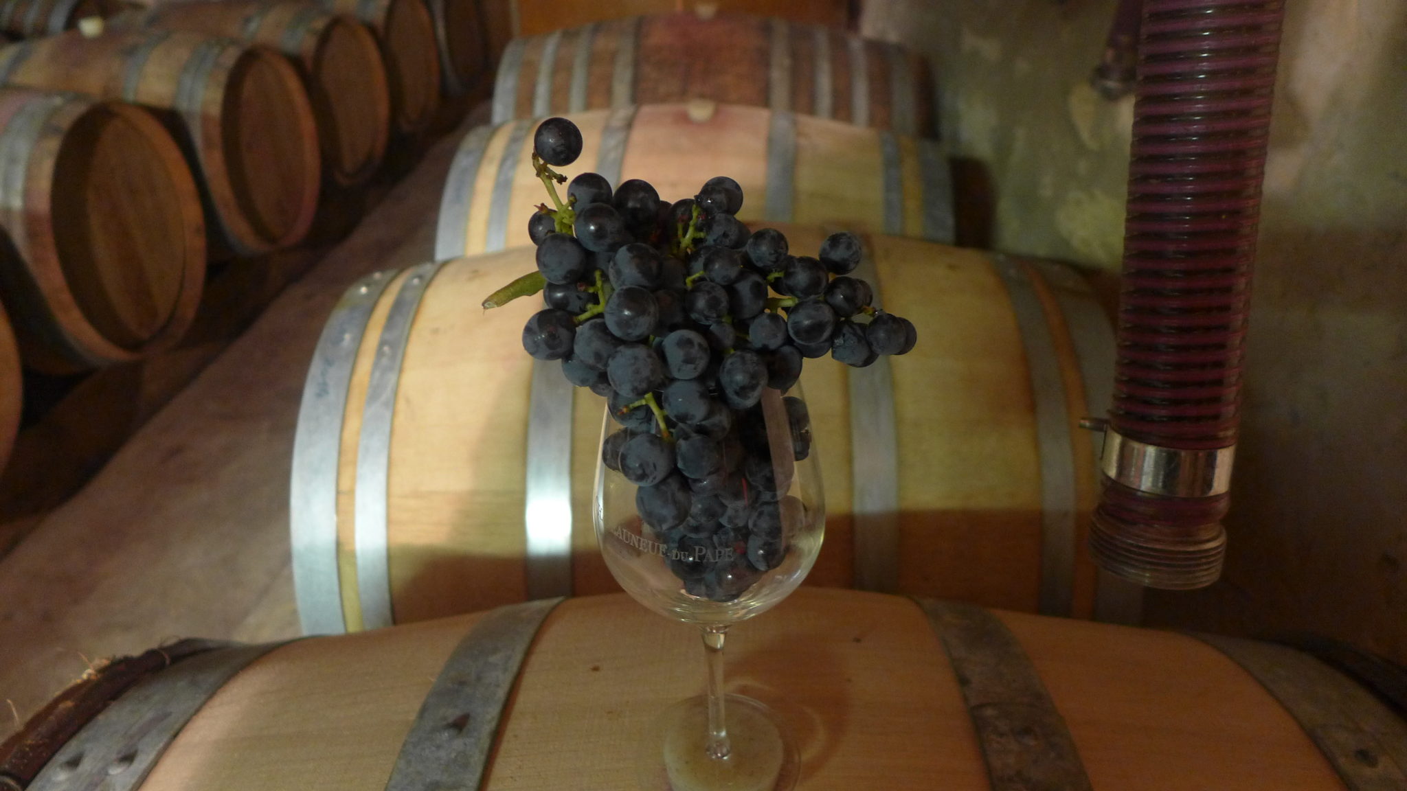millesime 2015 Jérôme Gradassi