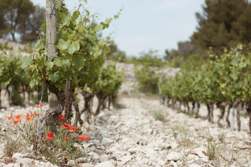 Domaine de Trévallon