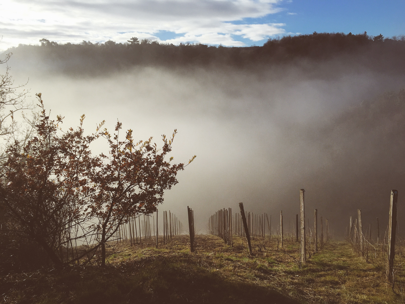 Domaine de la Grande Colline