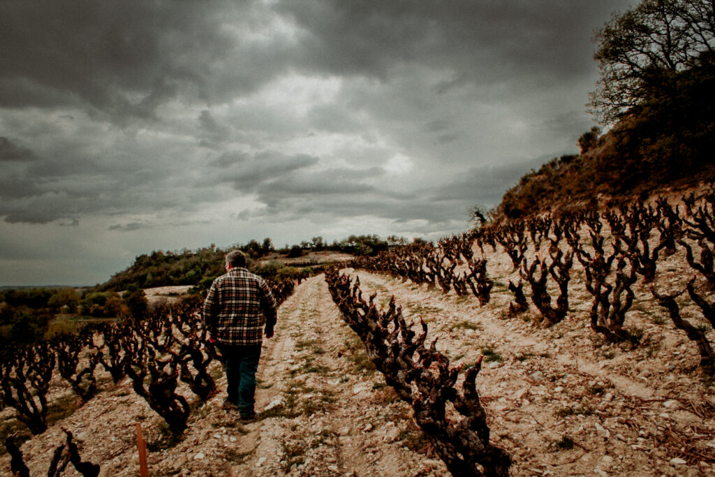 Domaine du Trapadis