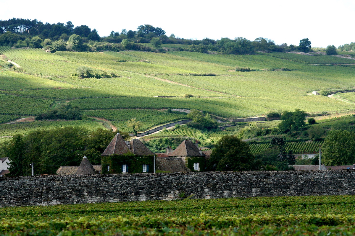 Beaune Is Back