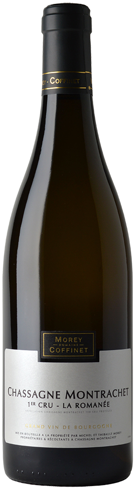 MOCO-CMR-1.png?w=144