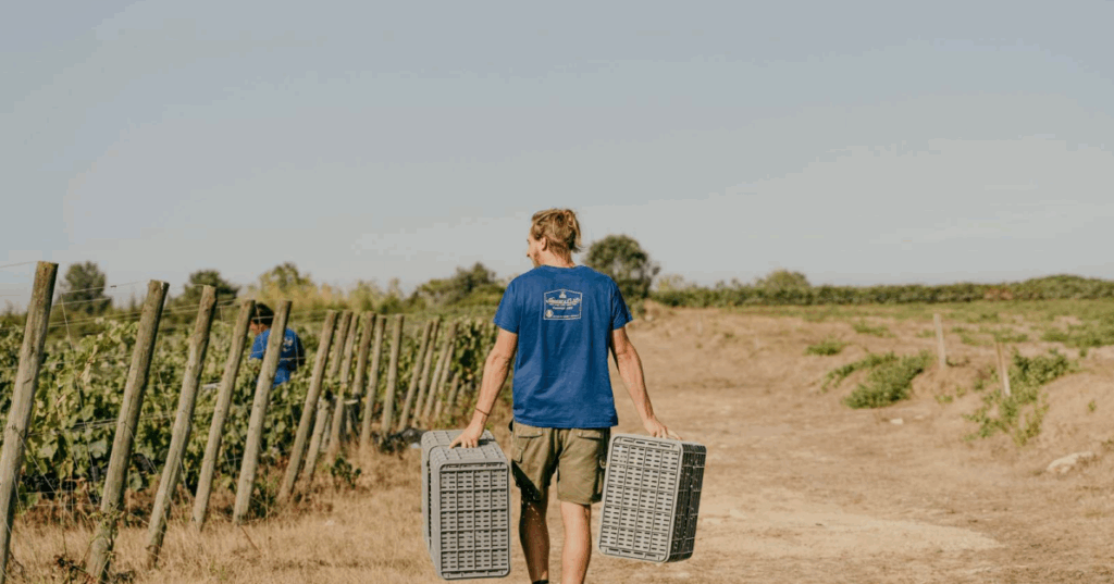 Daniel with bins - Baixo