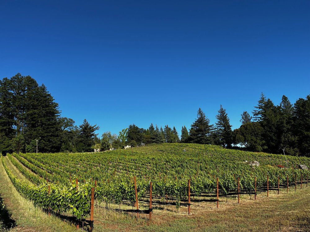 MADS Vineyards Madson