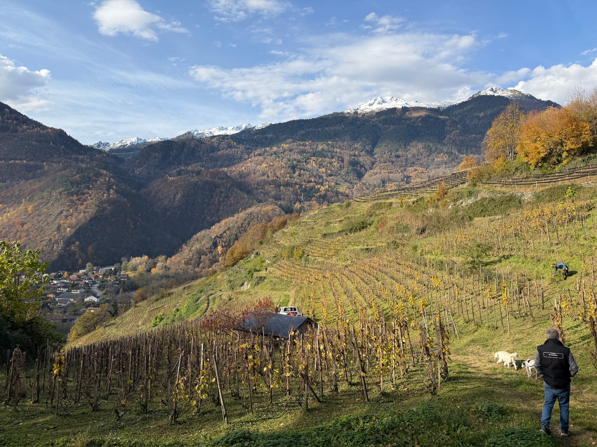 Domaine des Ardoisières vineyards in Savoie, France