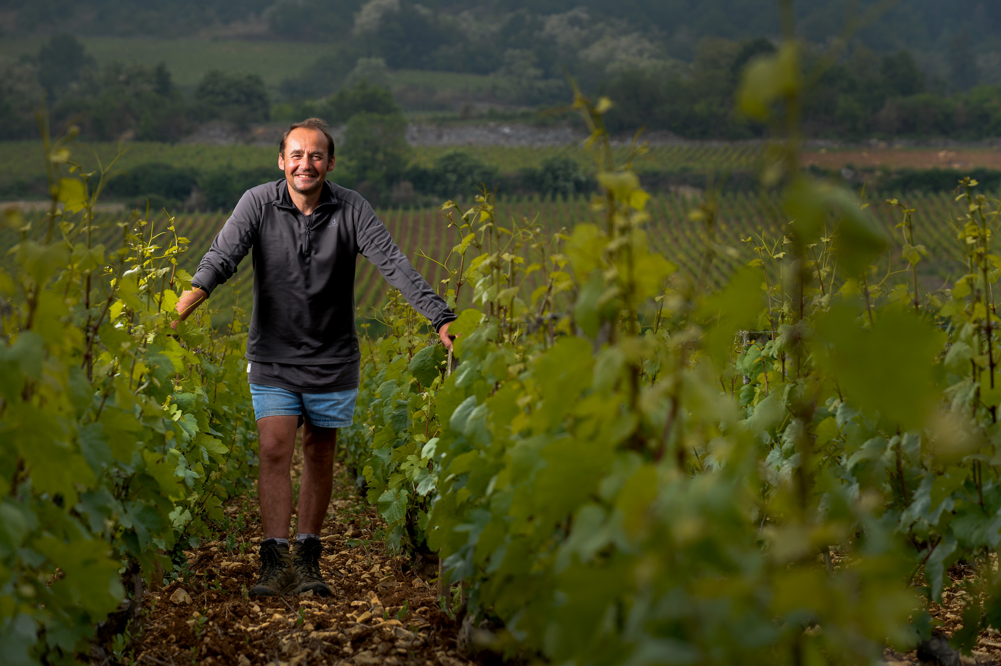 Domaine Michel Bouzereau in Meursault, Burgundy