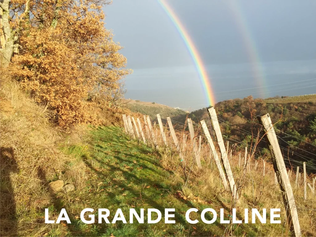 La Grande Colline in the Northern Rhône