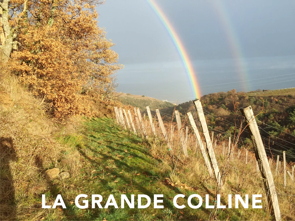 La Grande Colline in the Northern Rhône