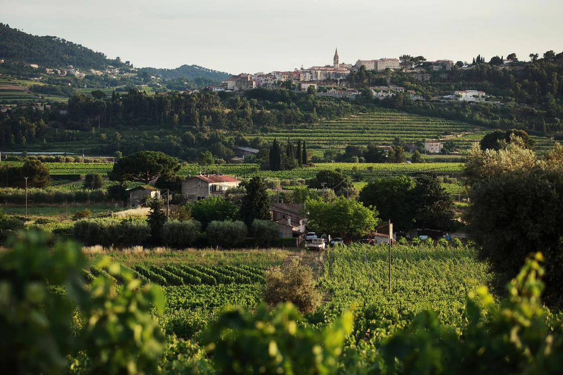 Vineyards at Bastide de la Ciselette in Bandol, Provence