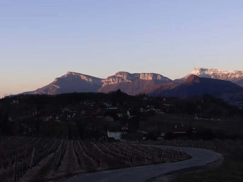 Cahors: The French Malbec