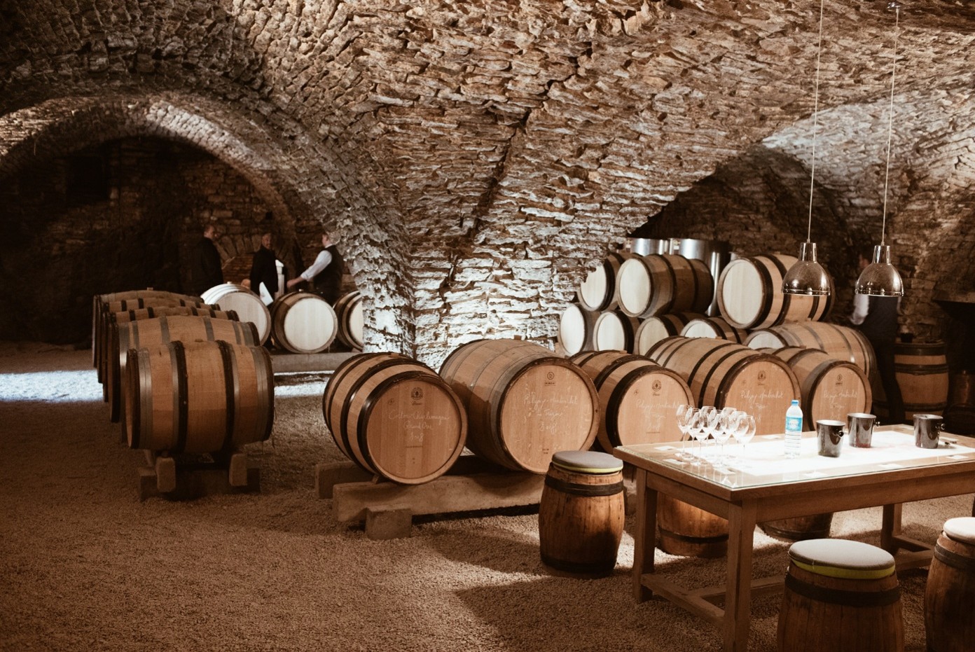 MOCO Cellar