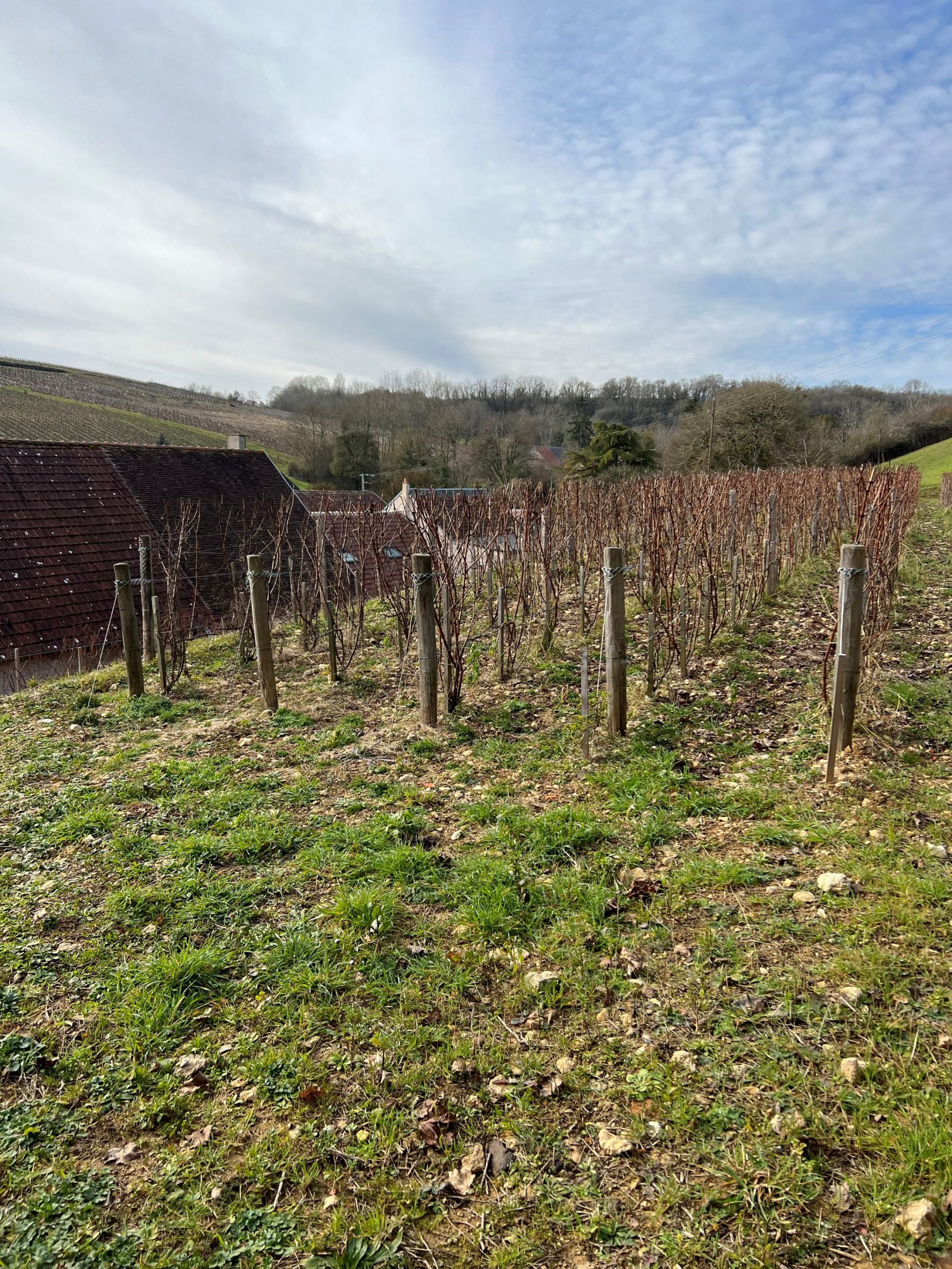 agisson