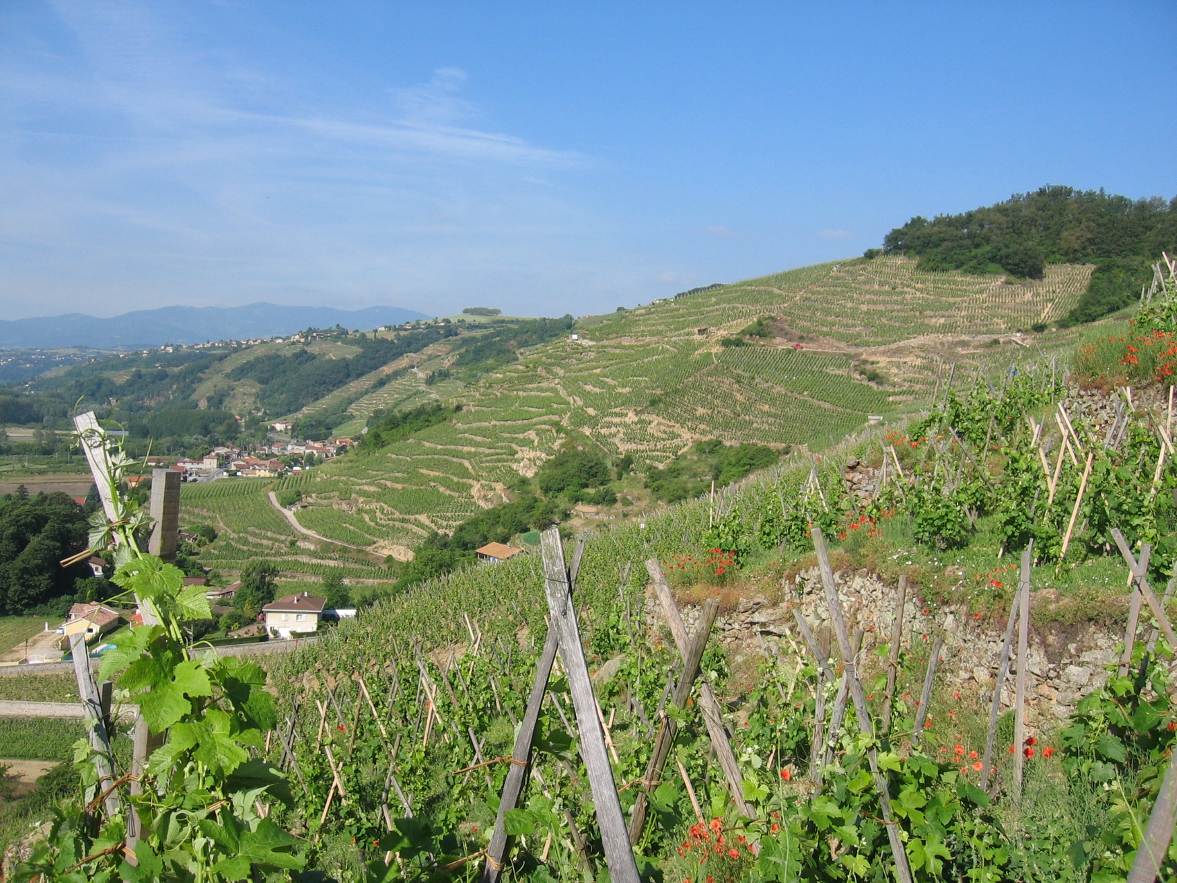 burgaud